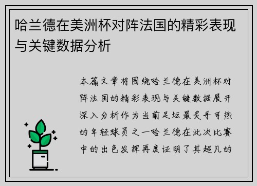 哈兰德在美洲杯对阵法国的精彩表现与关键数据分析